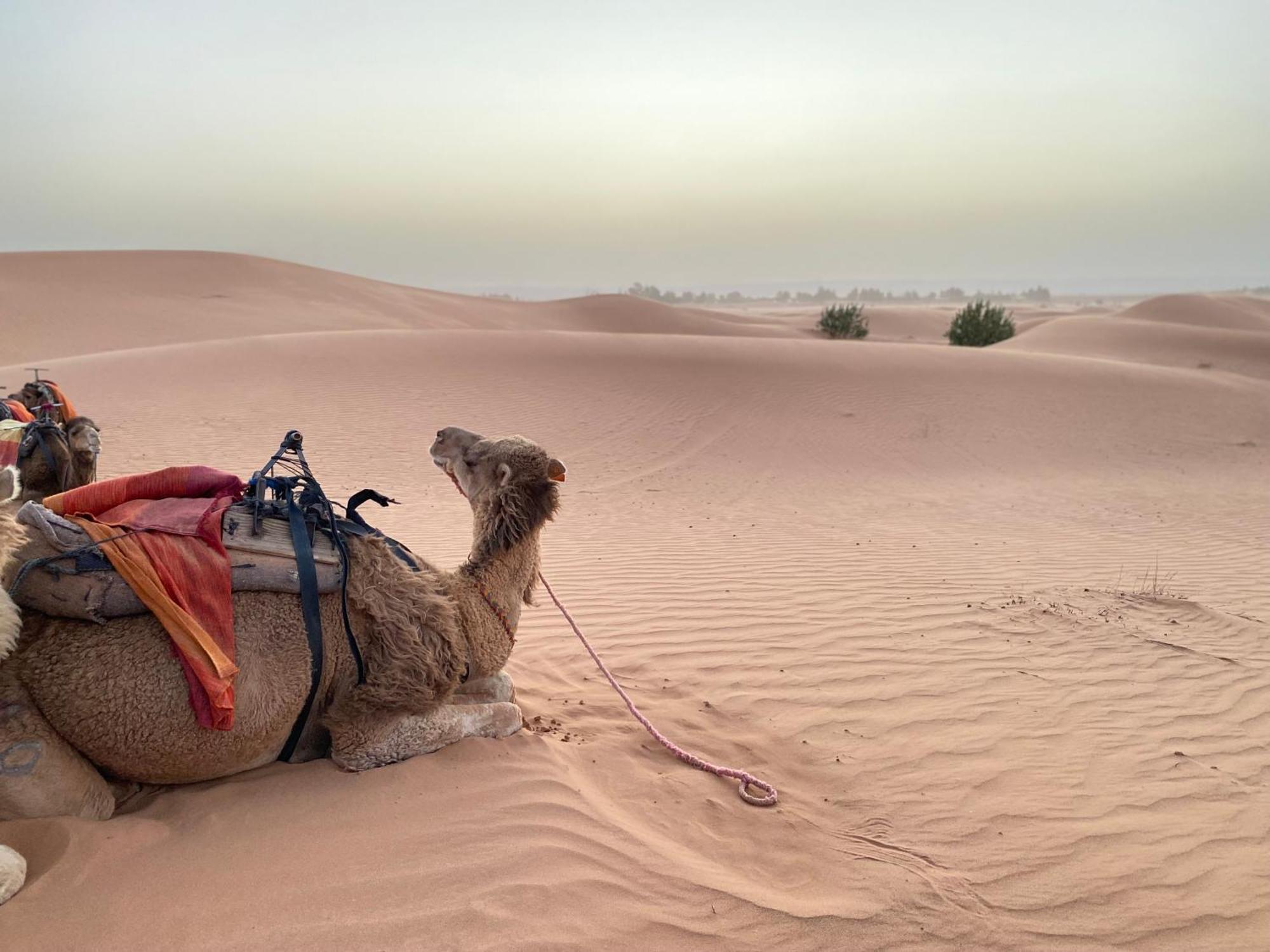 Erg Chebbi Sahara Camp Ξενοδοχείο Merzouga Εξωτερικό φωτογραφία